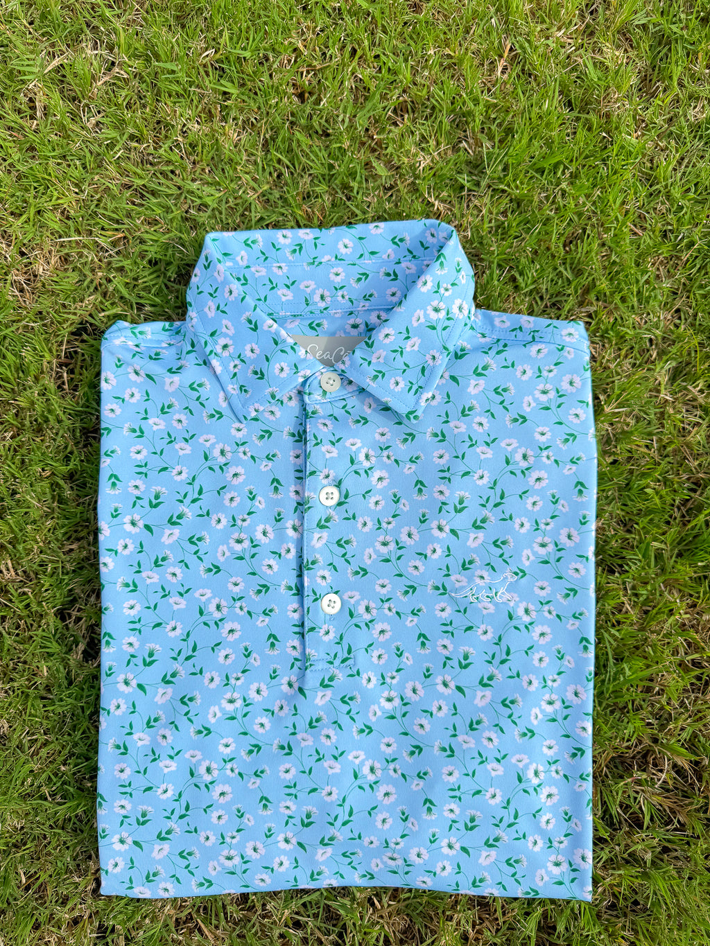 SeaCat Summer *1 Year Anniversary*