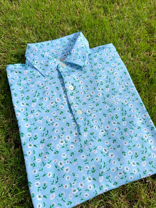 SeaCat Summer *1 Year Anniversary*