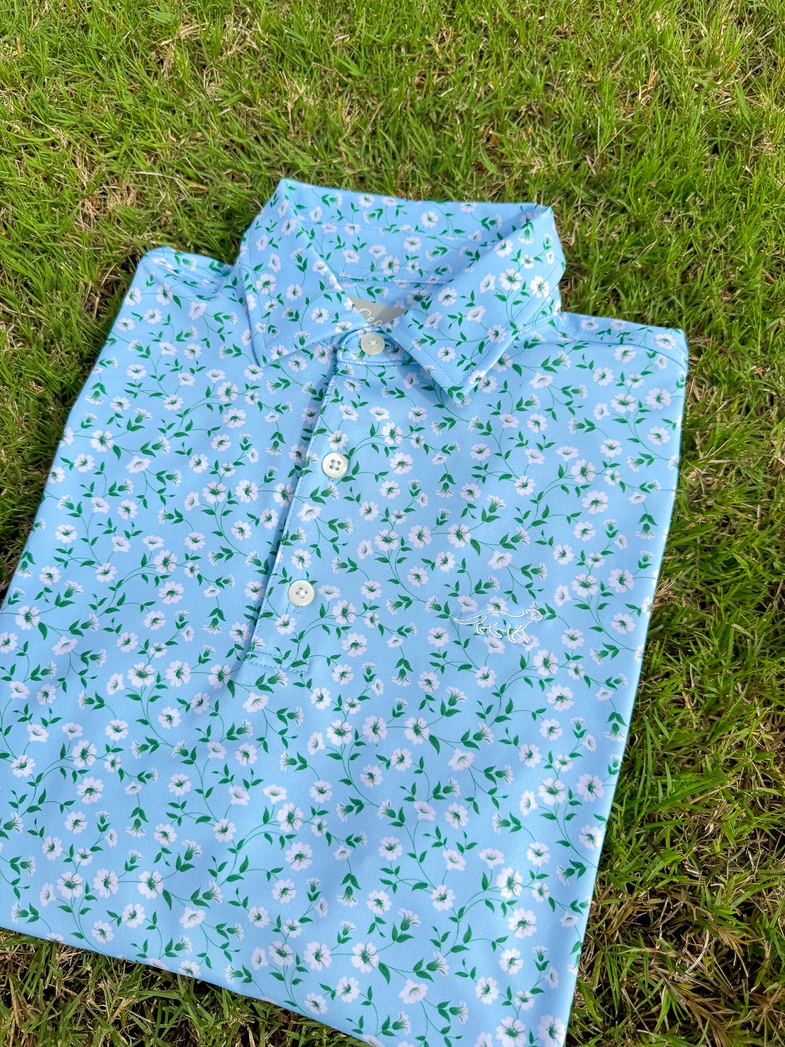 SeaCat Summer *1 Year Anniversary*