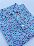 SeaCat Spring *LIMITED EDITION*