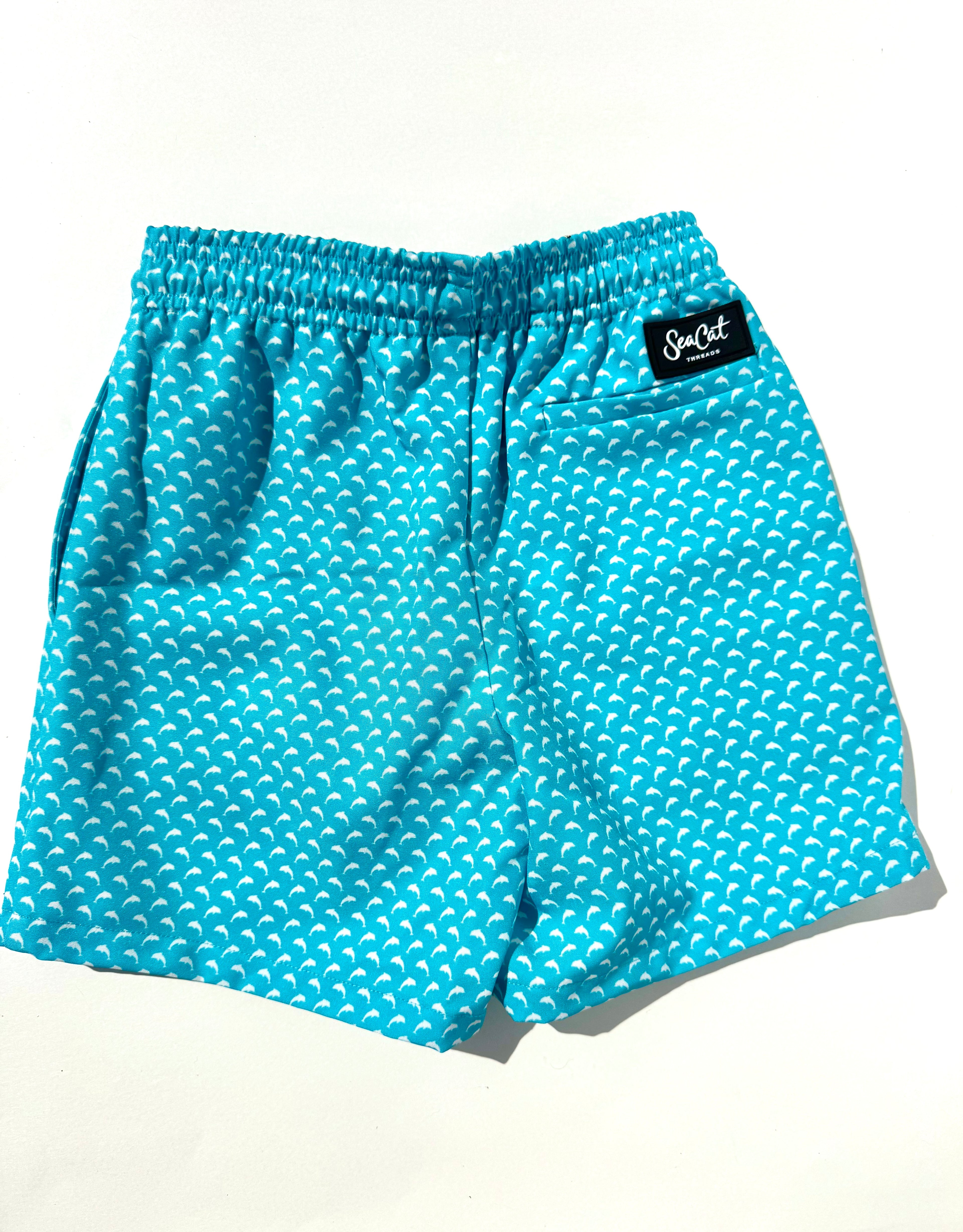 Boy's SeaCat Swim Trunks