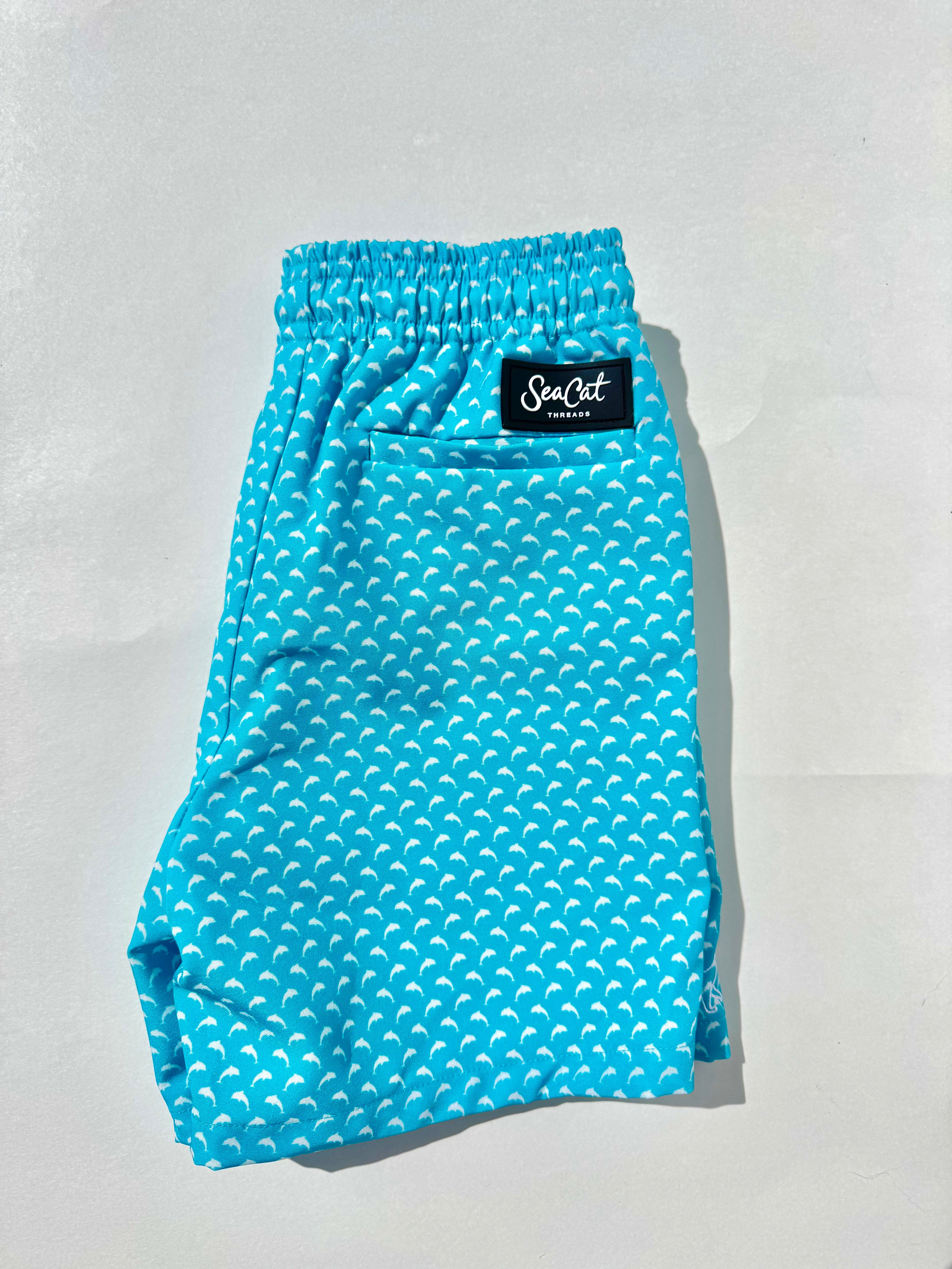 Boy's SeaCat Swim Trunks