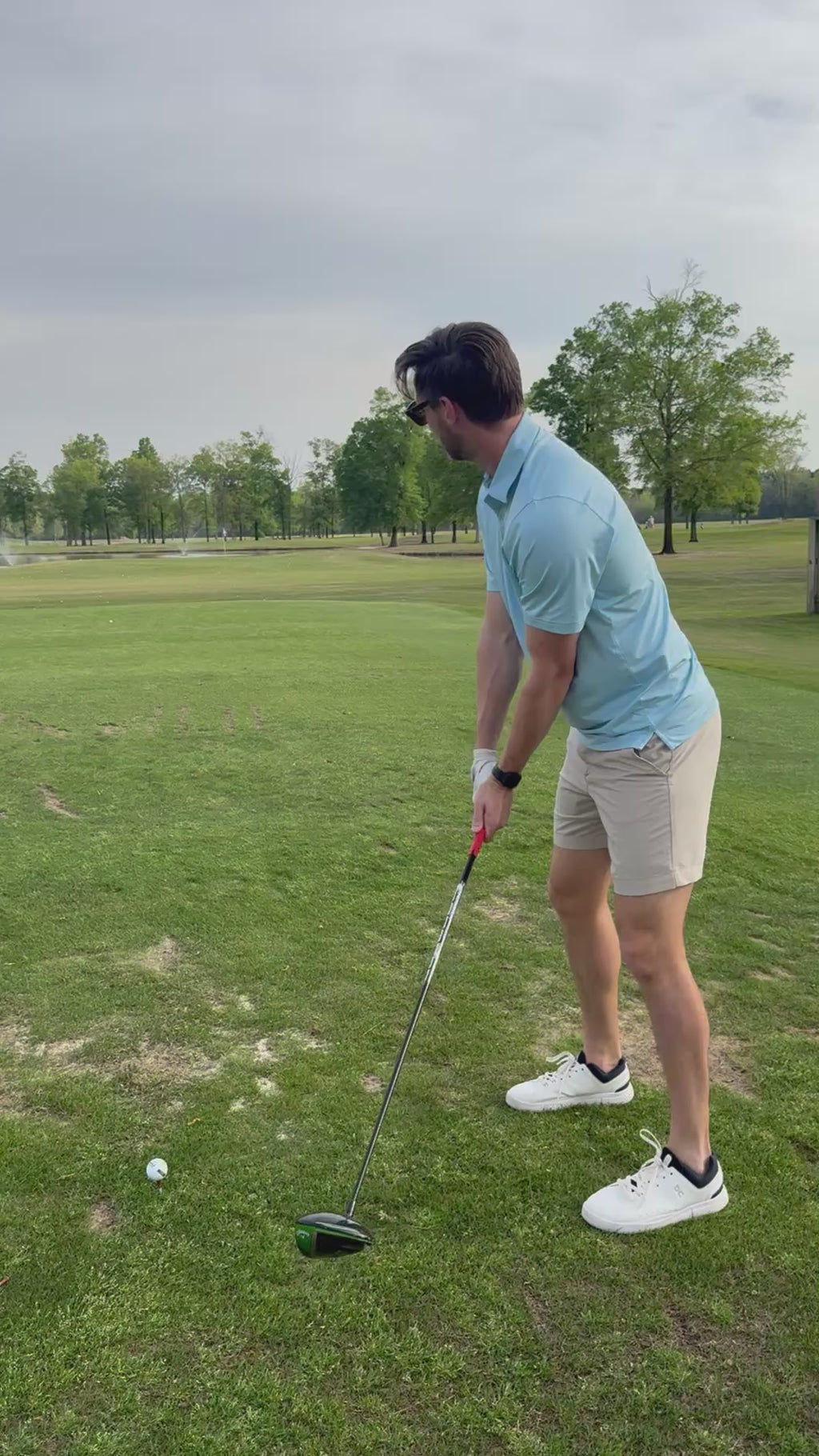 Blue Heather